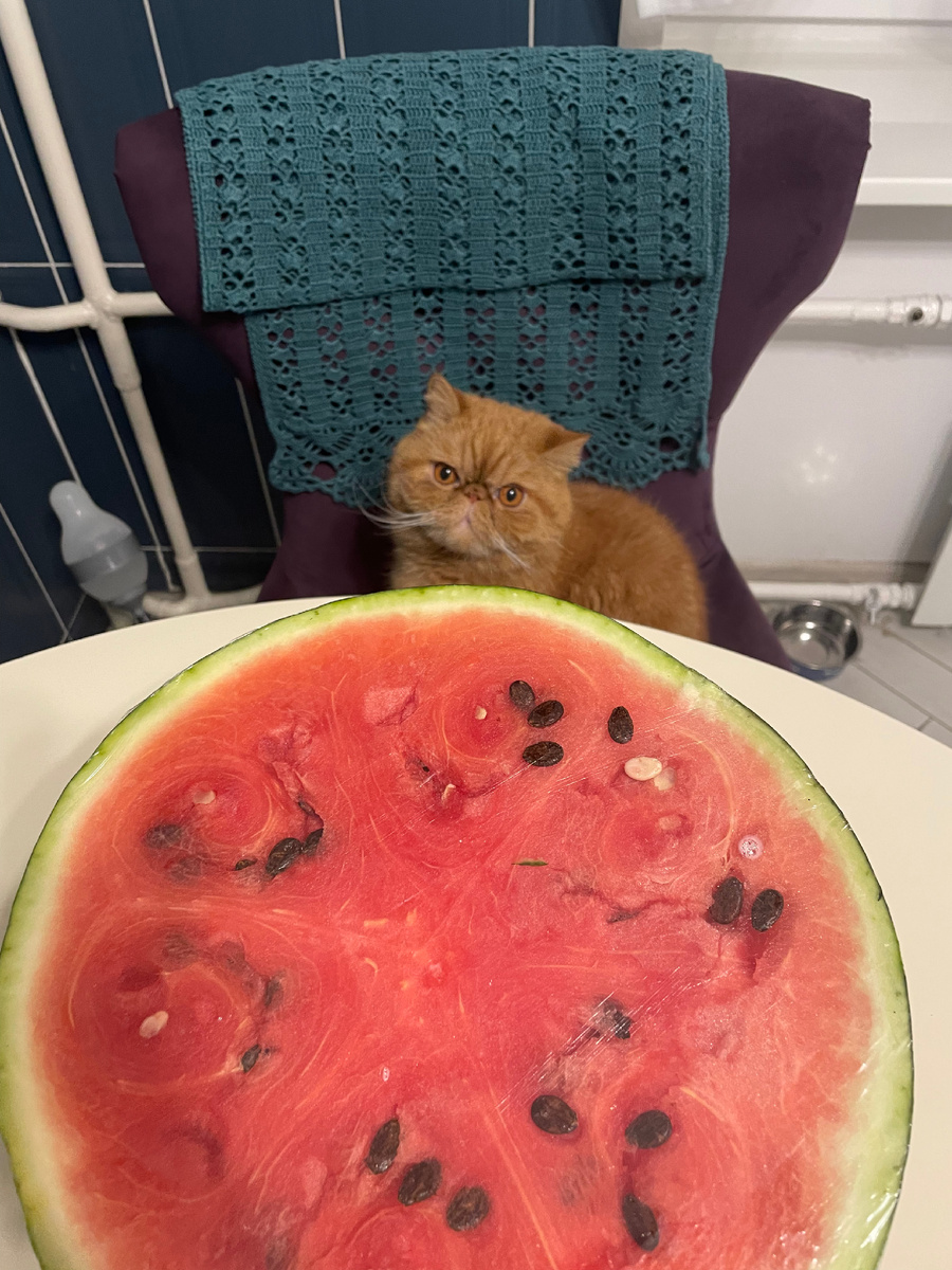 Кто созерцал)