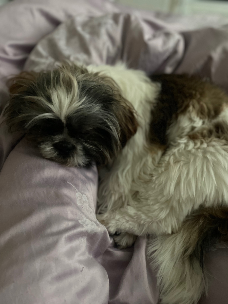 Кто сил набирался:)