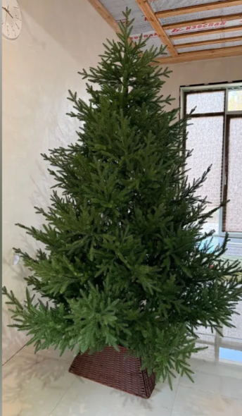 Фото из интернета