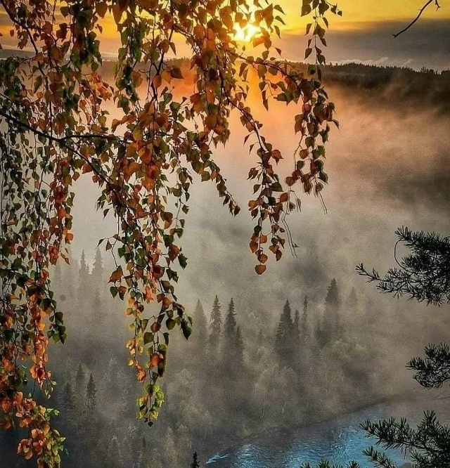 Автор стиха: «СЕНТЯБРЬСКИЙ ВАЛЬС» и фото : MR.UNIVERSE