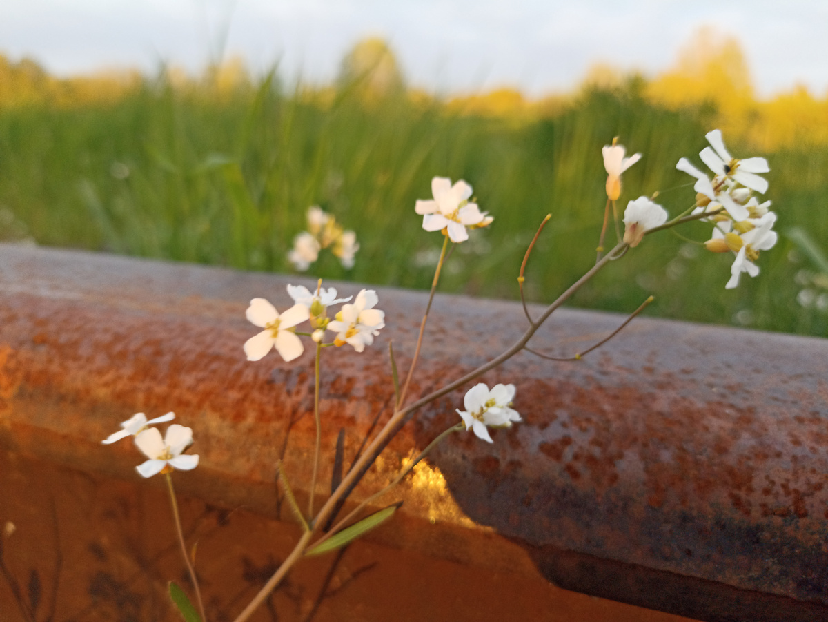 Краски заката