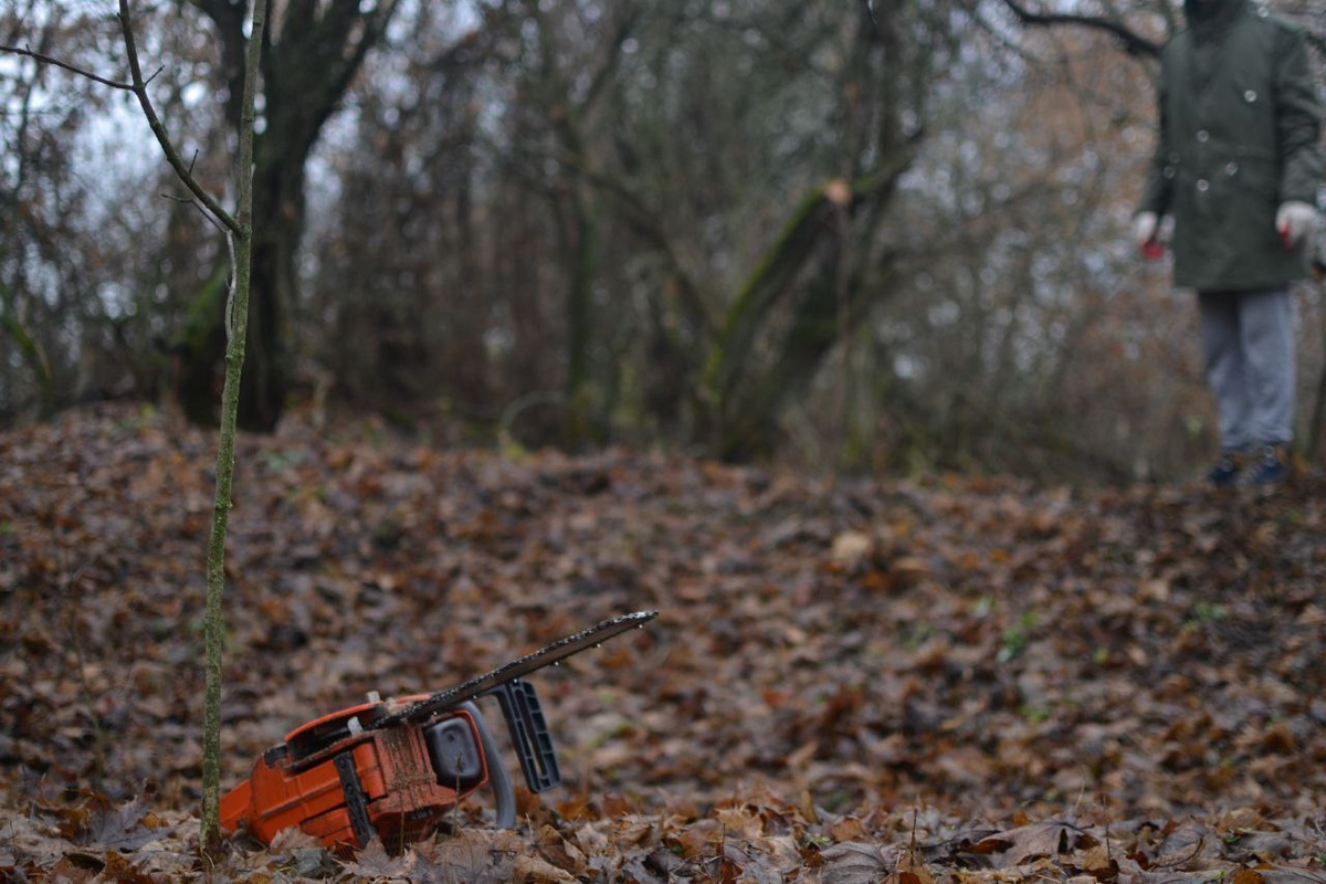 Все фотографии в статье сделаны 8 ноября автором сего опуса