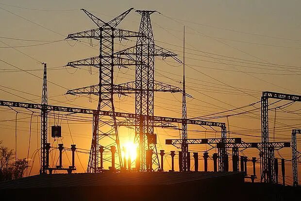    Фото: lenta.ru Мария Михайлова