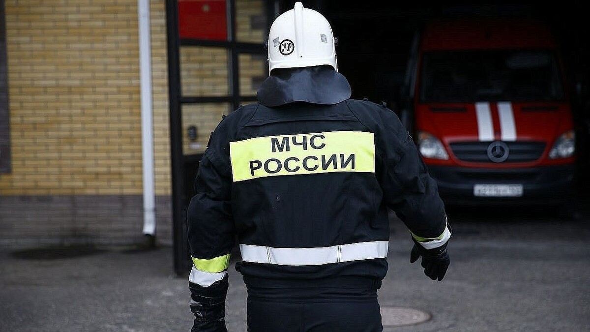    Фото: телеканал «Краснодар»