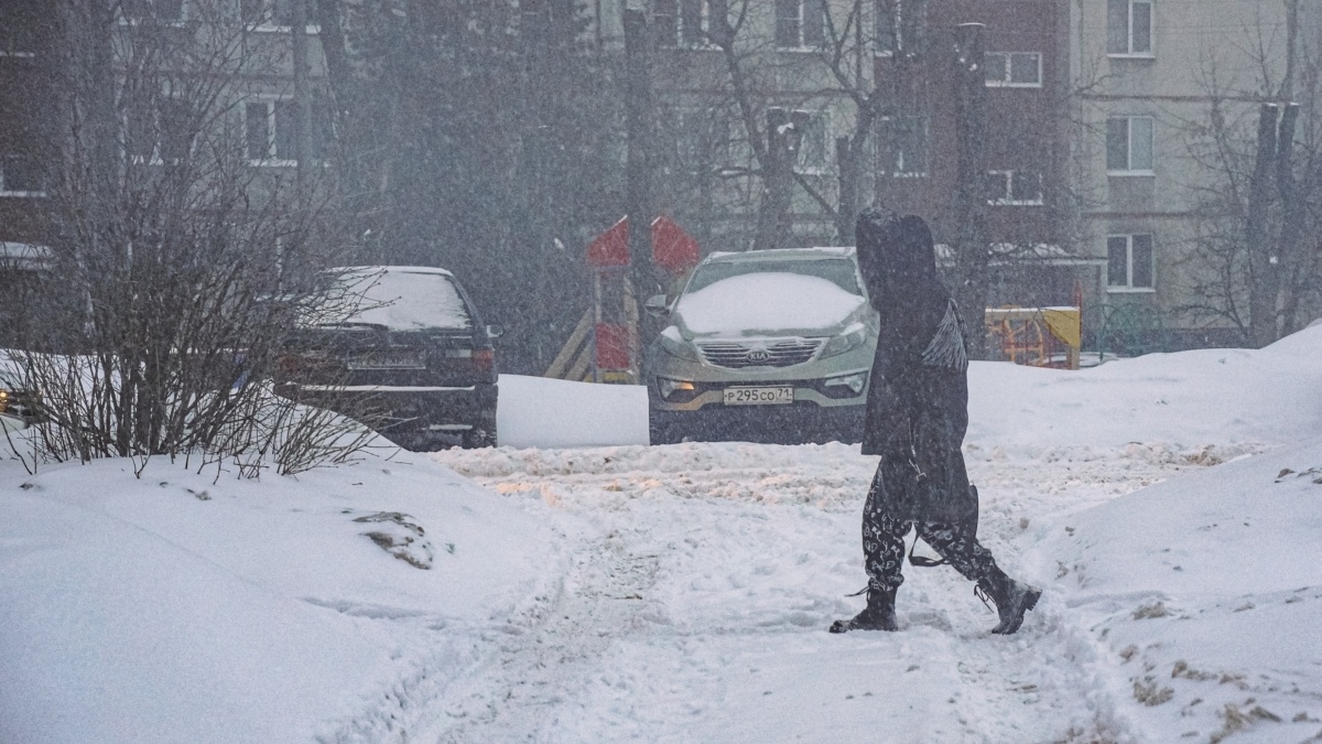 Фото: Светлана Мулыкина📷
