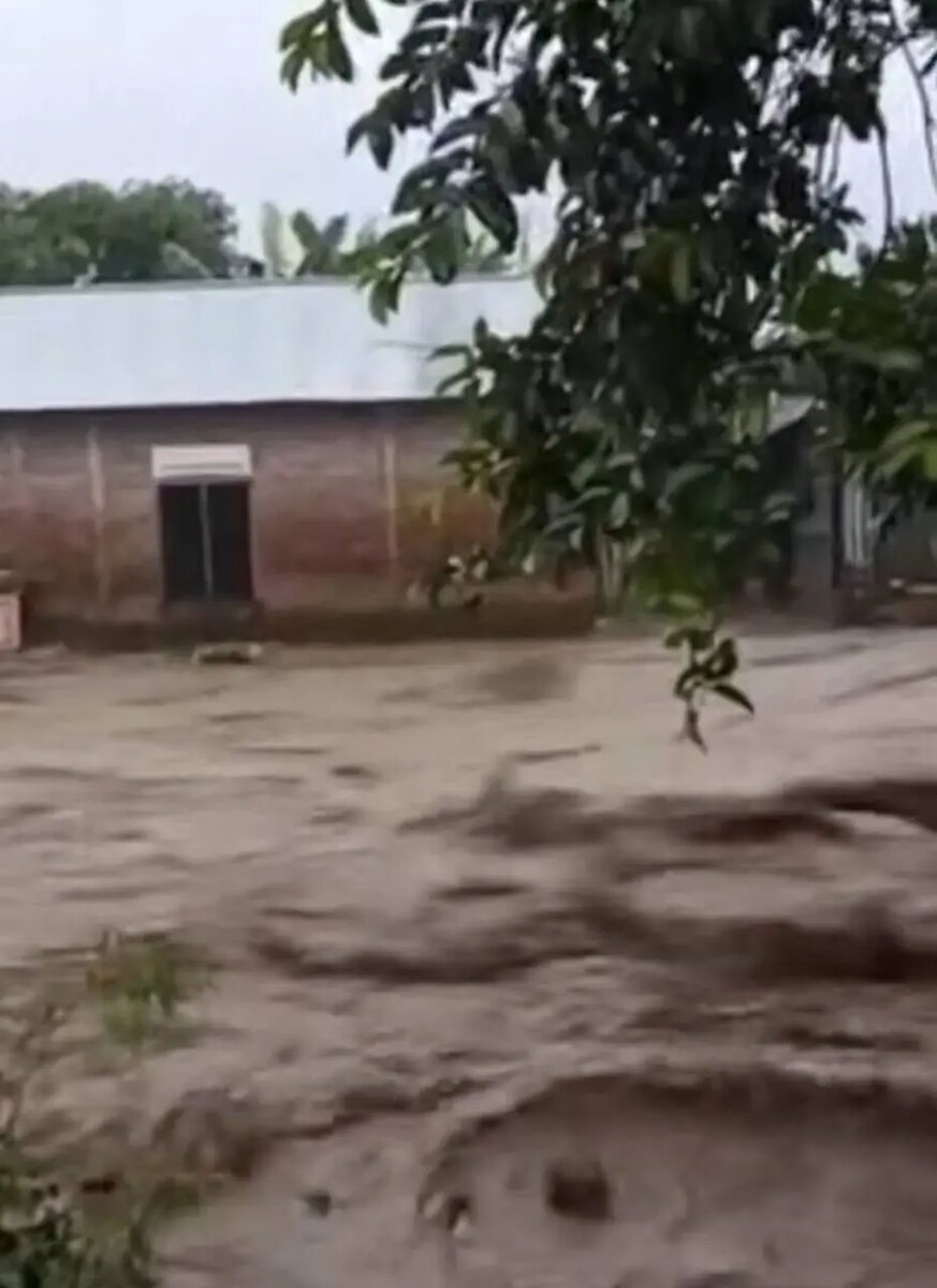    Фото: скриншот видео из соцсетей