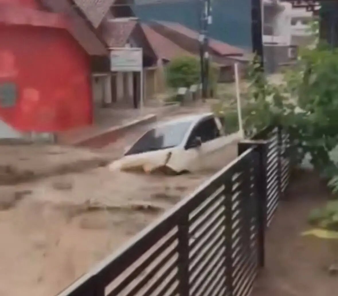    Фото: скриншот видео из соцсетей