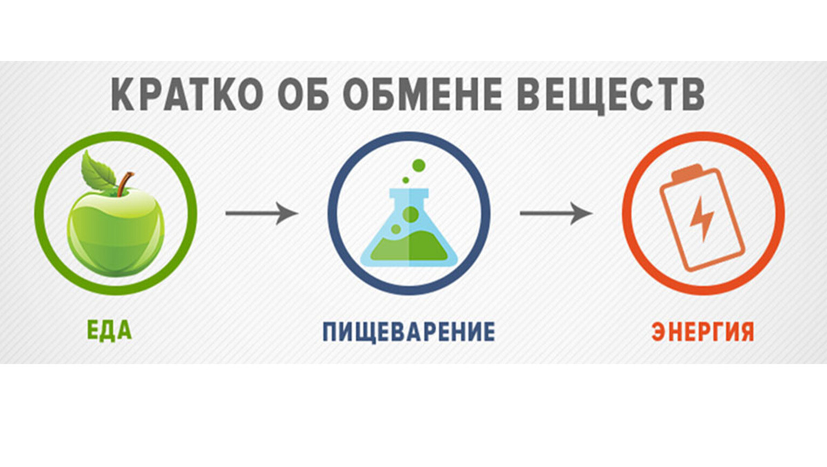 6 Признаков, Что Обмен Веществ «Застрял» (Чек-Лист)