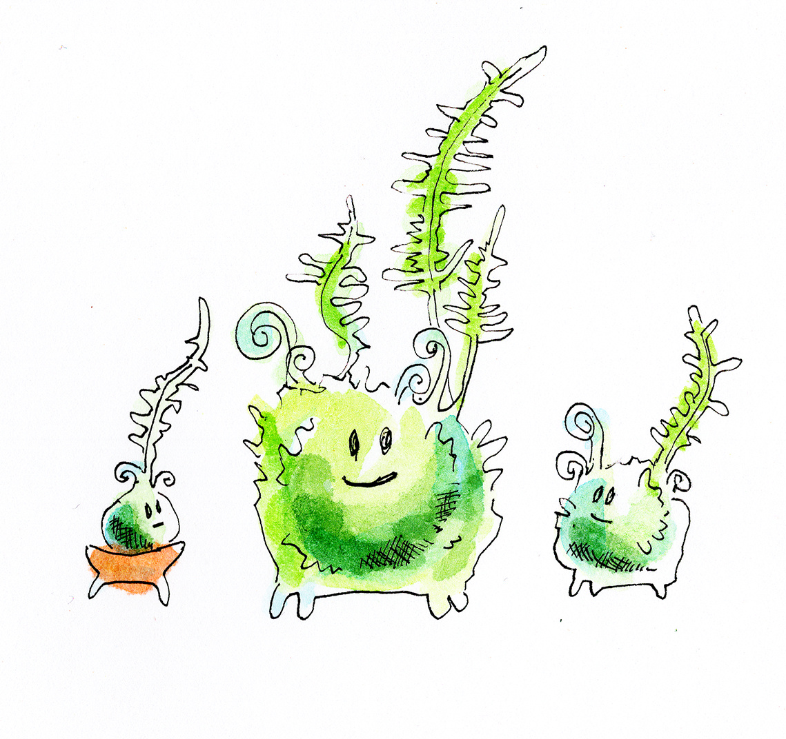 Свет, вода, опрыскивание и подкормка – вот и всё, что им нужно.