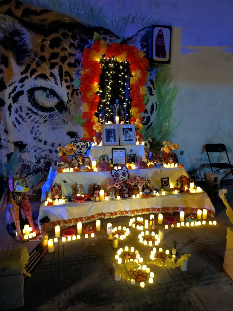 Алтарь для душ ушедших близких, Мерида, 2025