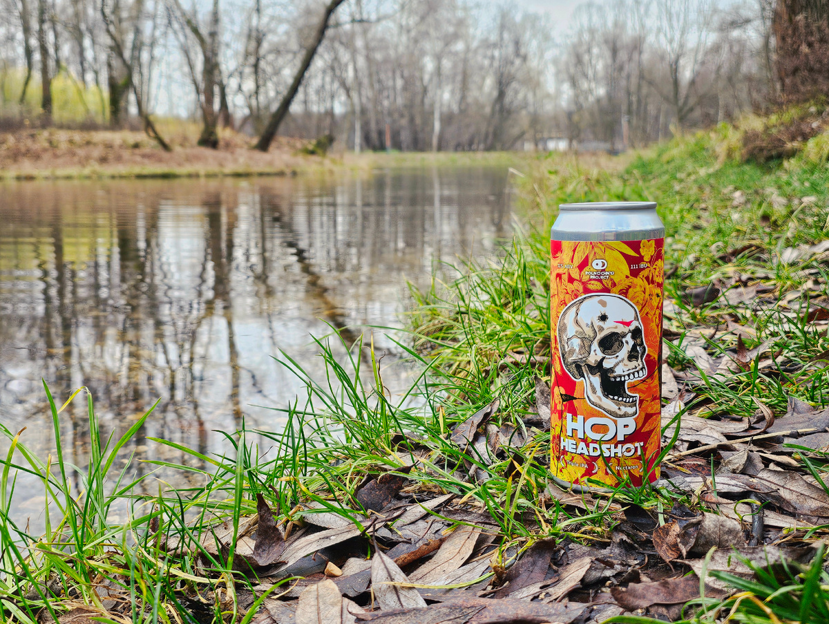 Hop Headshot: Nectaron, фото автора