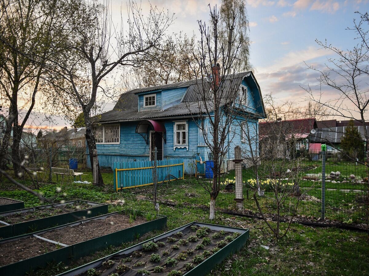    Дачный отдых москвичей© РИА Новости . Владимир Песня