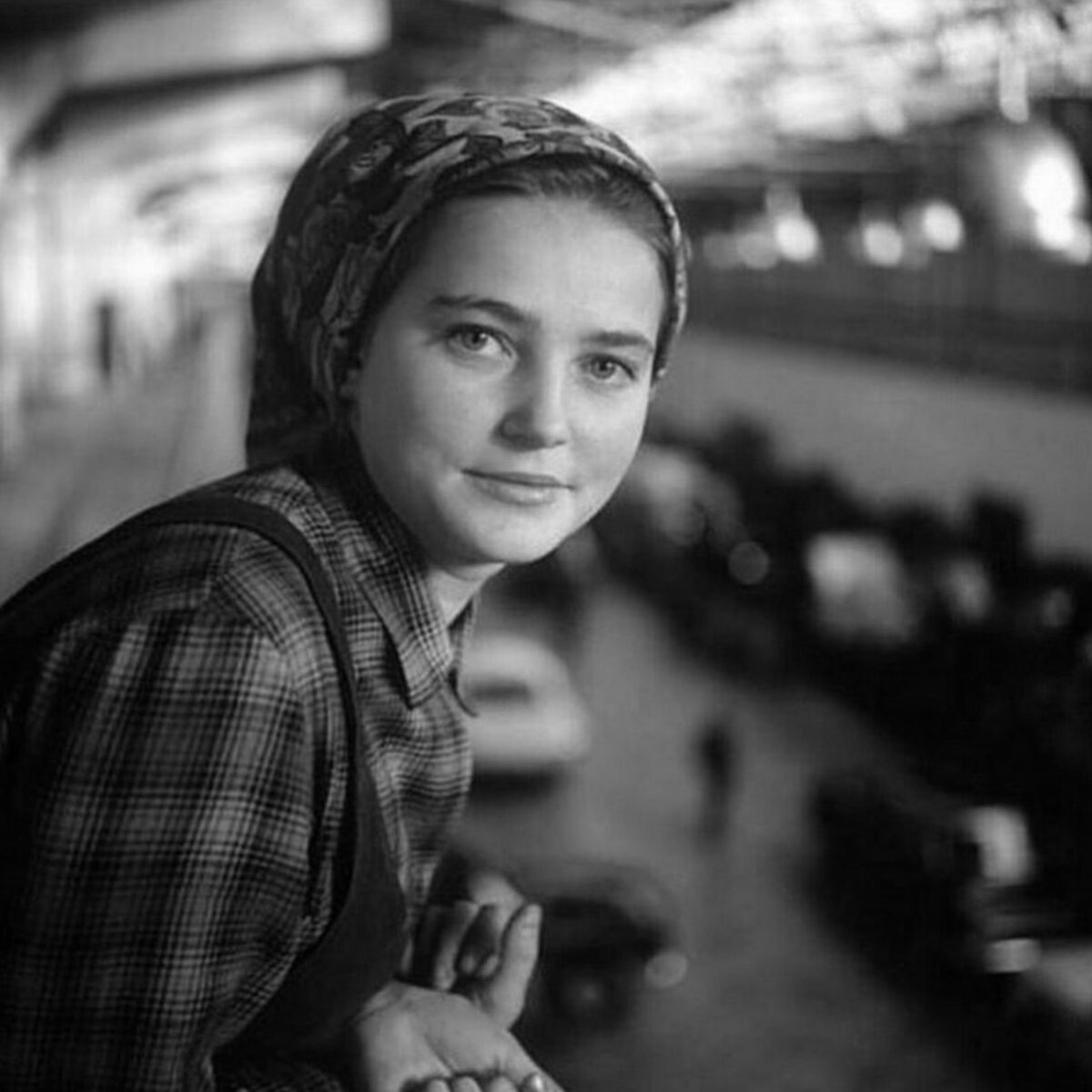 Фото из открытого источника Яндекс 