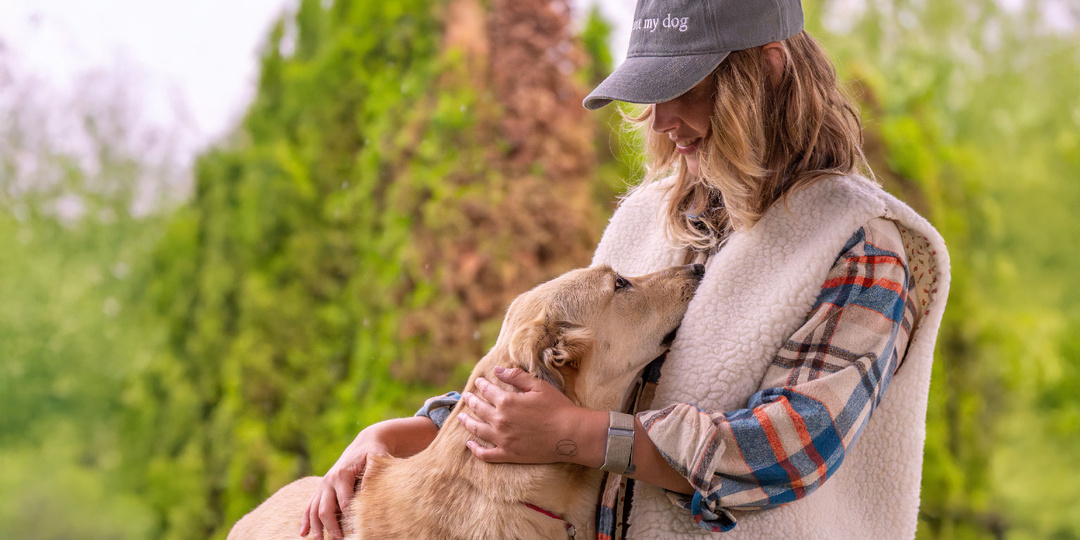Как научить собаку вставать позже