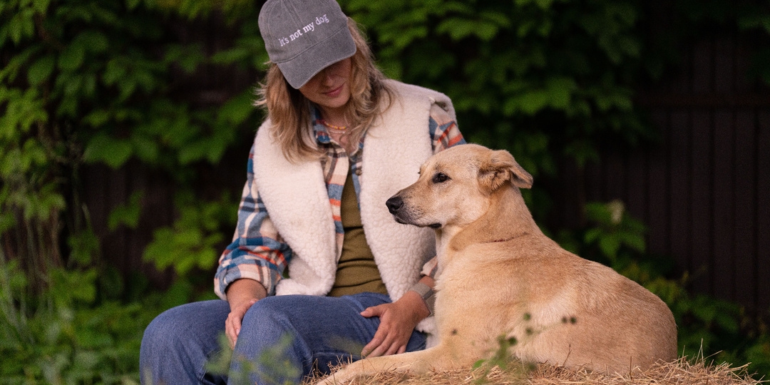 6 гуманных способов дать собаке таблетку