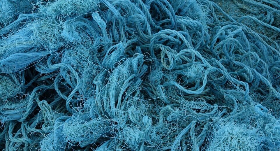    Olaf Krüger/imageBROKER.com / www.globallookpress.com