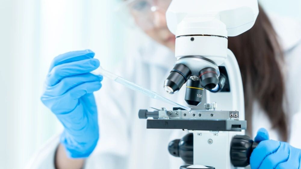    Фото: shisu_ka/Shutterstock/Fotodom