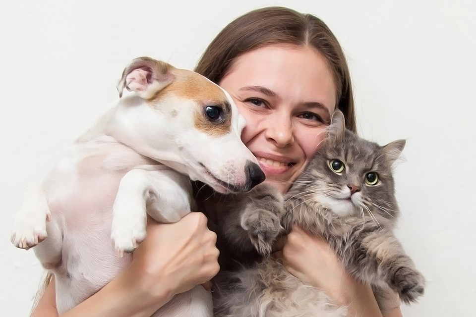    Фото: Ekaterina43/Shutterstock/Fotodom