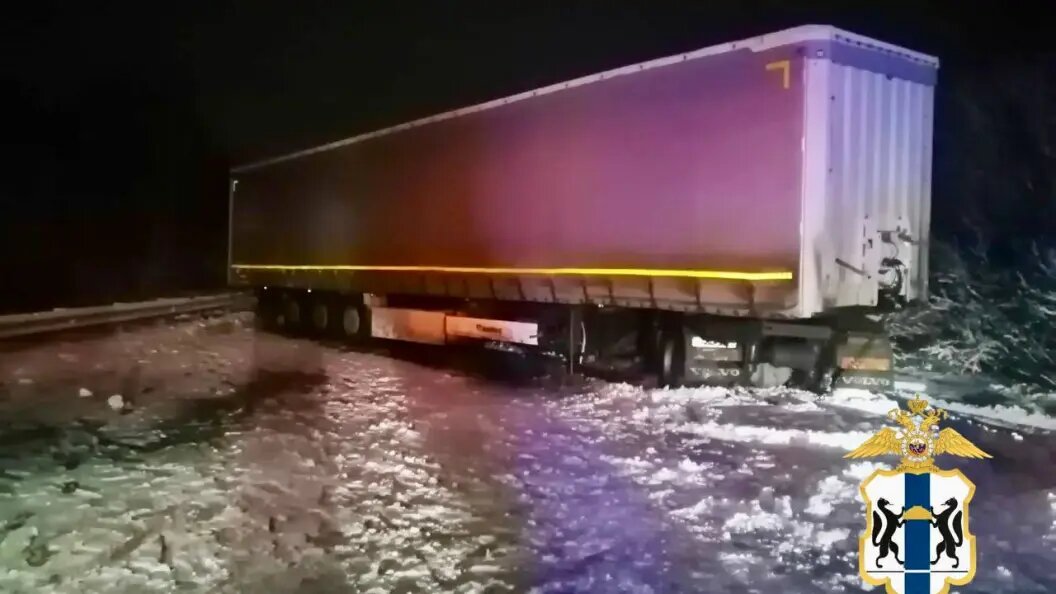    Фото: ГУ МВД по Новосибирской области