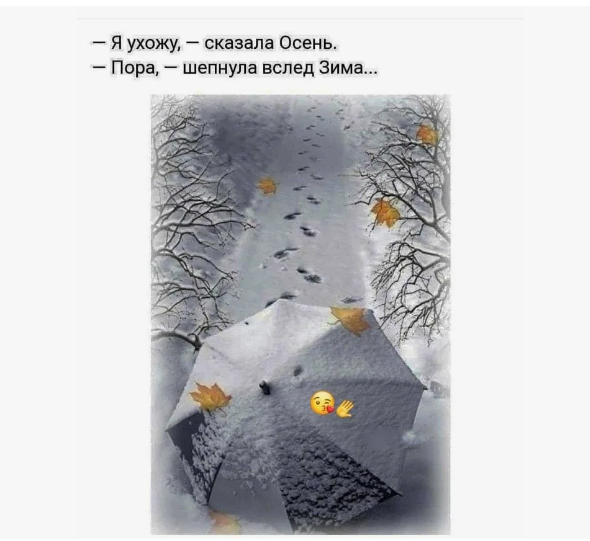 Яндекс.Картинки