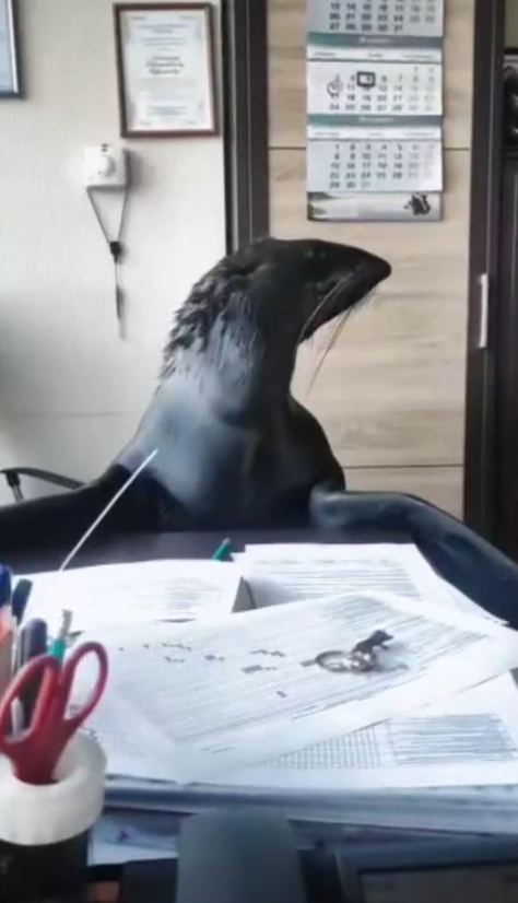    Источник фото: