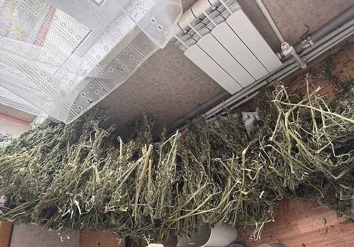 Бывшие супруги сошлись ради производства наркотиков в Рязанской области