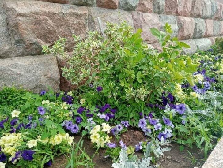    Фото: Пруфы