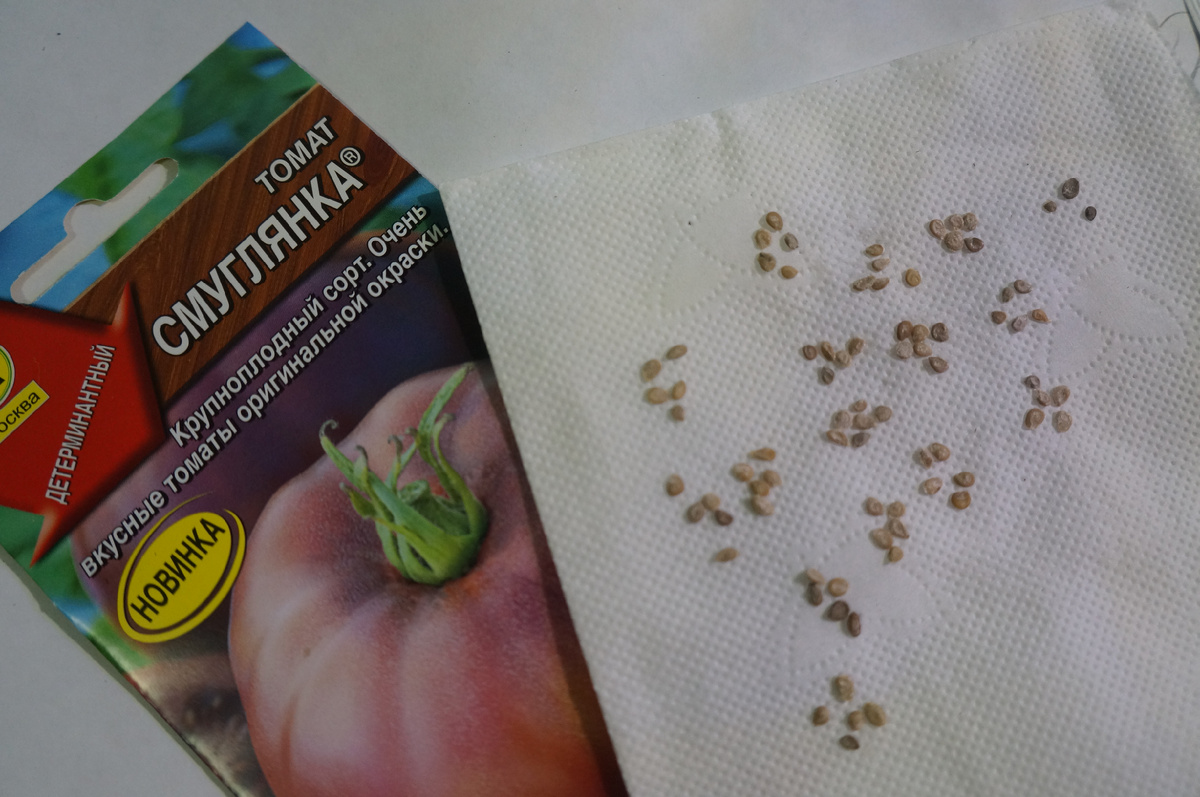 Фото: Зеленая леди, сад, семья и томатный сок