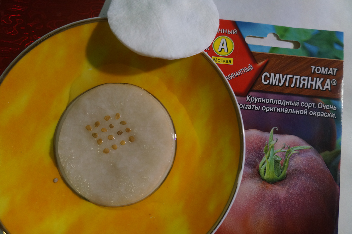 Фото: Зеленая леди, сад, семья и томатный сок