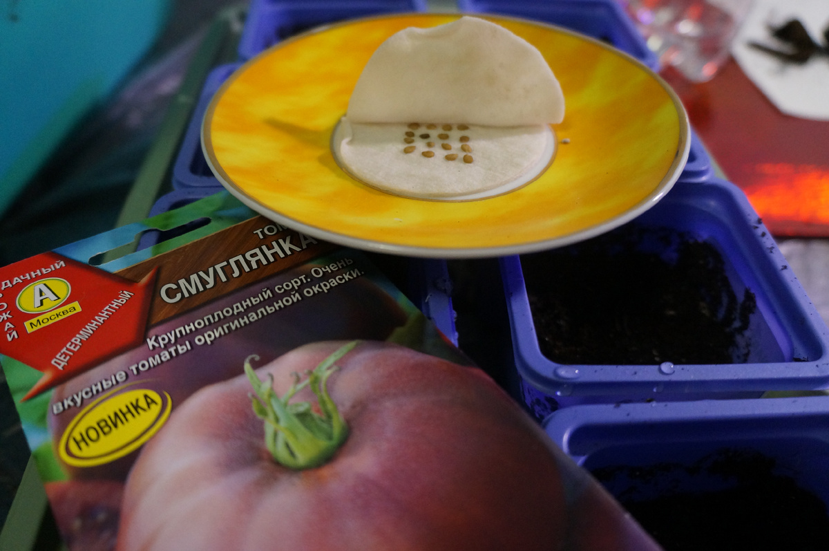 Фото: Зеленая леди, сад, семья и томатный сок