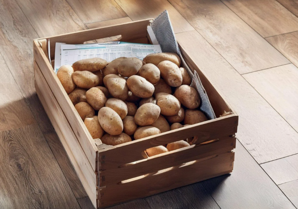 Как хранить картошку в квартире