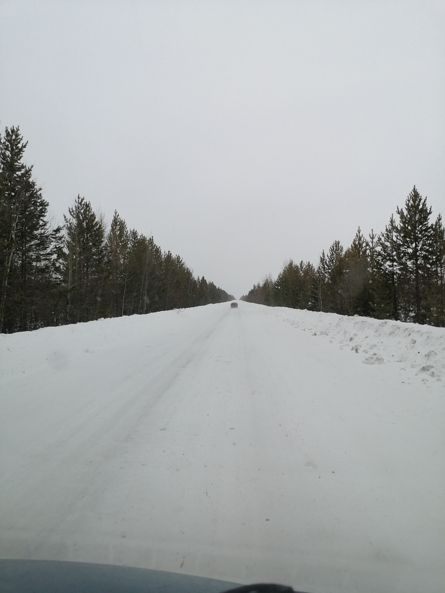 Дорога к северным оленям