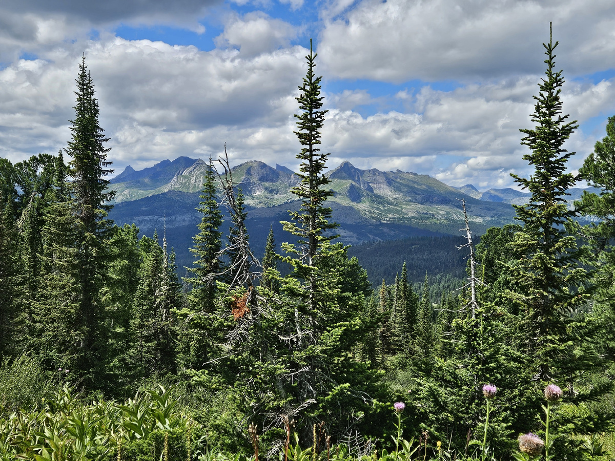 Вид позади меня.