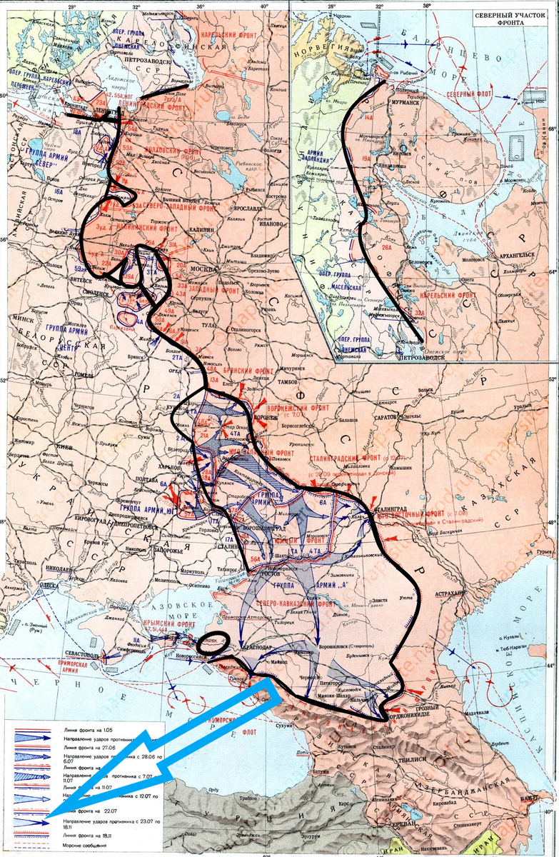 (Фото взято из открытых источников).