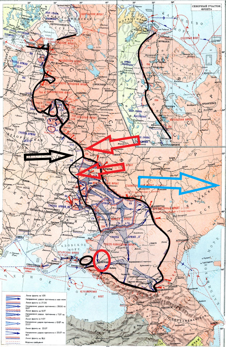 (Фото взято из открытых источников).