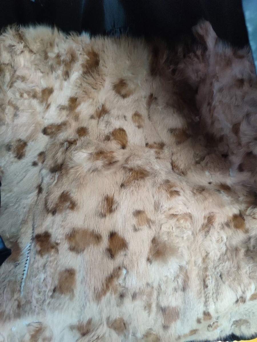 Фото📷 автора