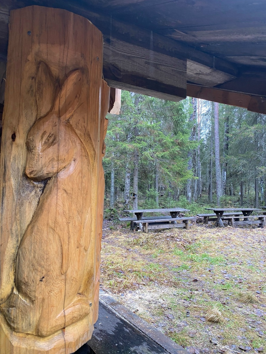    На развилке трассы «Фонтаны» ремонтируют лесное кафе© Трасса Фонтаны Петрозаводск / VK