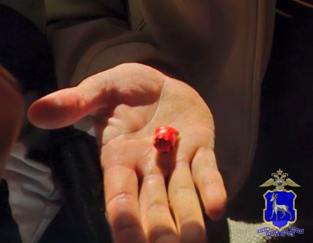    Фото ГУ МВД РФ по Самарской области