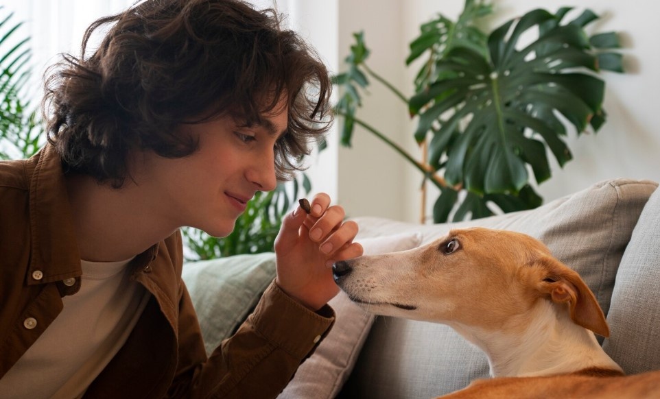    фото: фрипик