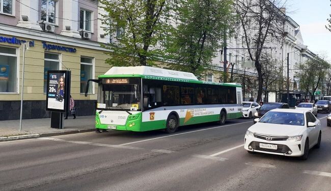    Фото: Алёна Воропаева