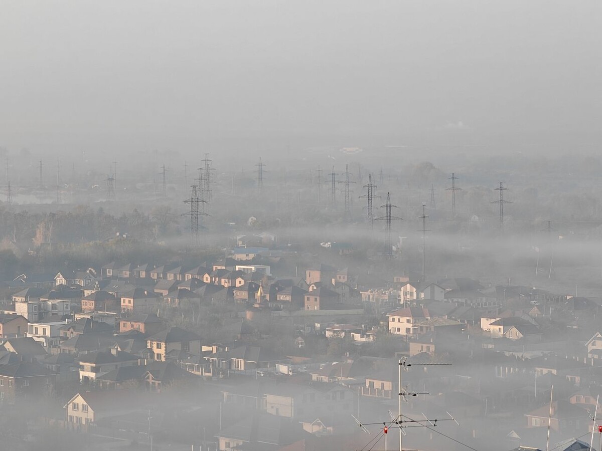    Фото: Юрий Серебренников/BFM Кубань
