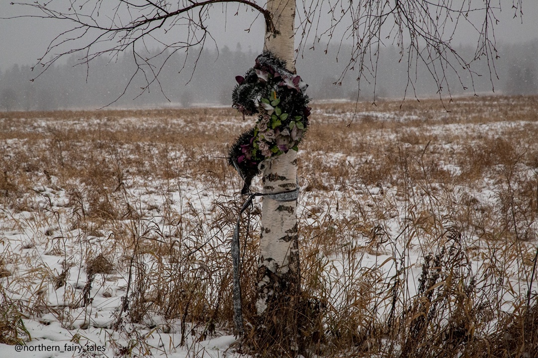 Одинокая береза с похоронным венком