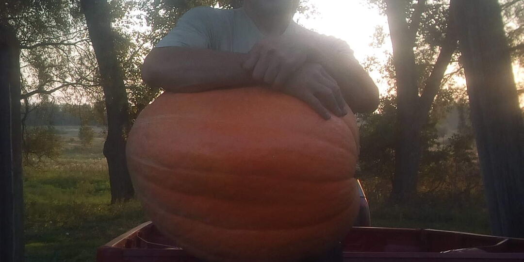 Часть 3. Как мы вляпались в сельское хозяйство.