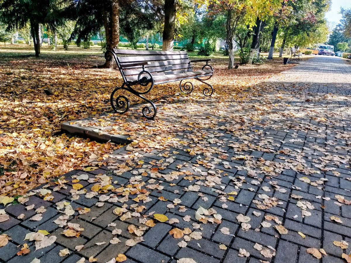 Фото автора канала