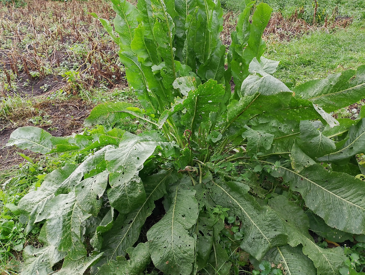 Фото автора канала