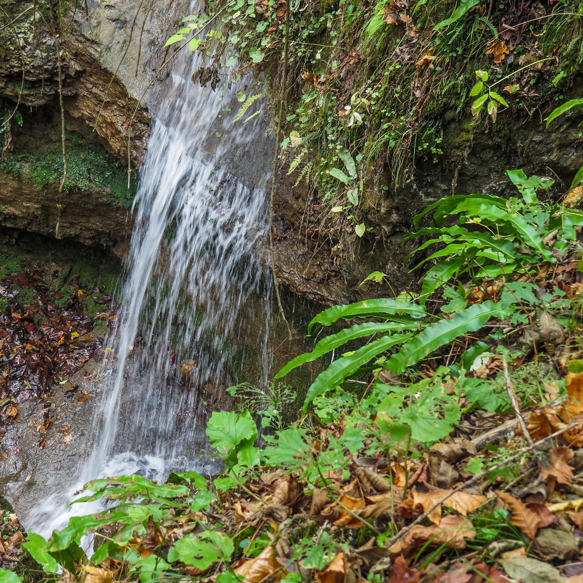 Здесь и далее фото автора, Мезмайский ручей, ноябрь. 