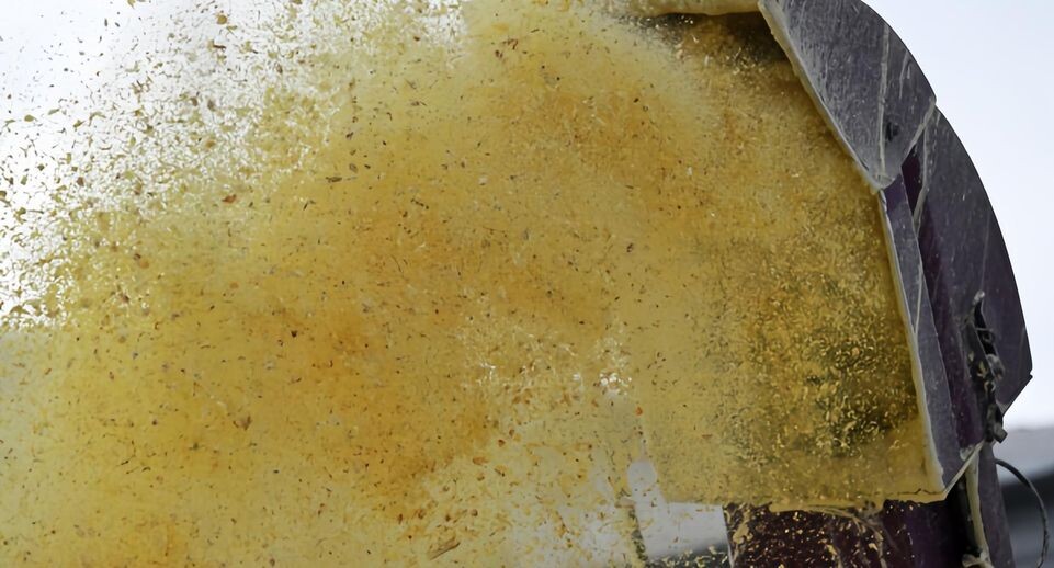    РИА «Новости»