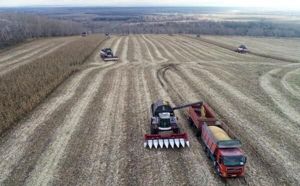    РИА «Новости»