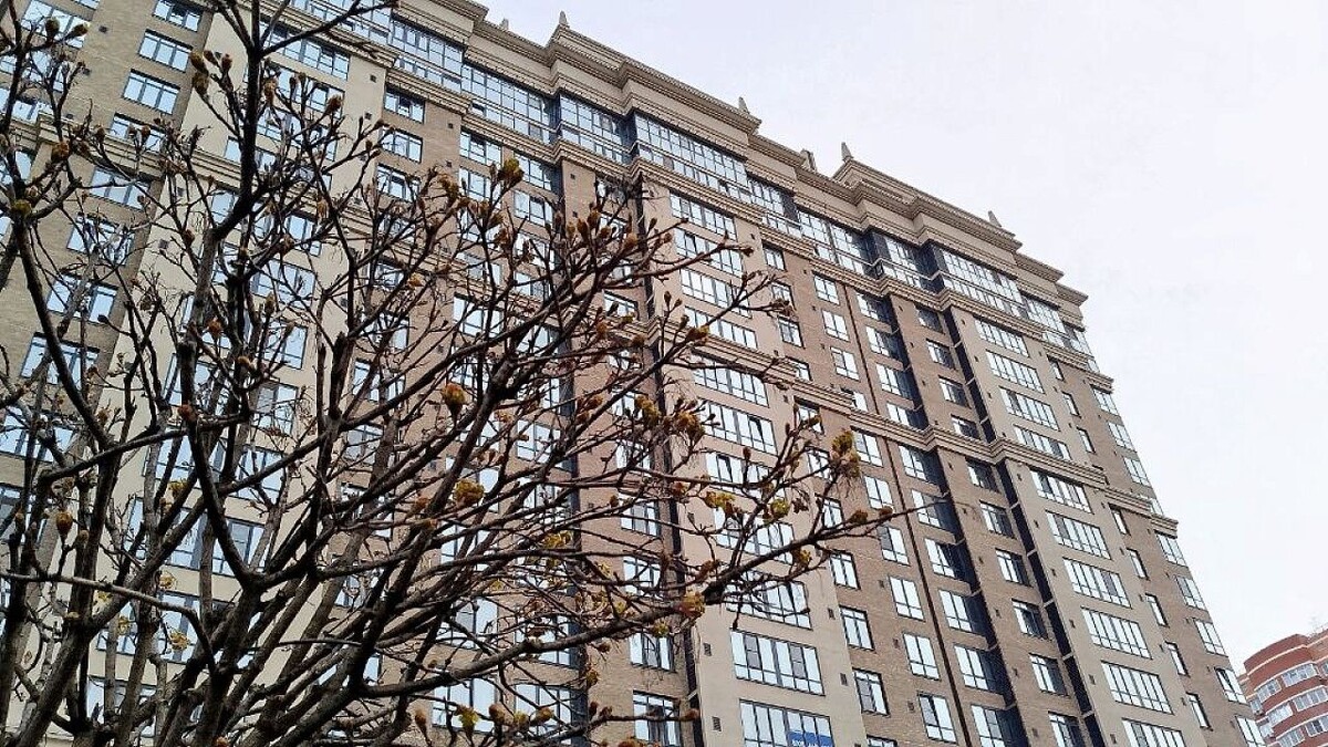    Фото: телеканал «Краснодар»