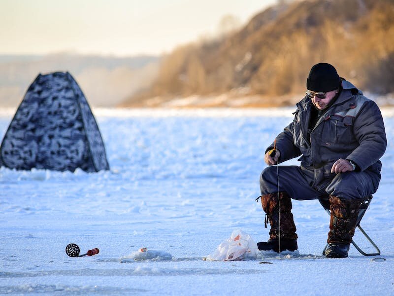     Фото: pexels.com